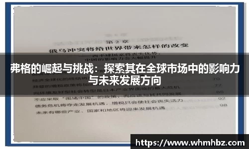 弗格的崛起与挑战：探索其在全球市场中的影响力与未来发展方向