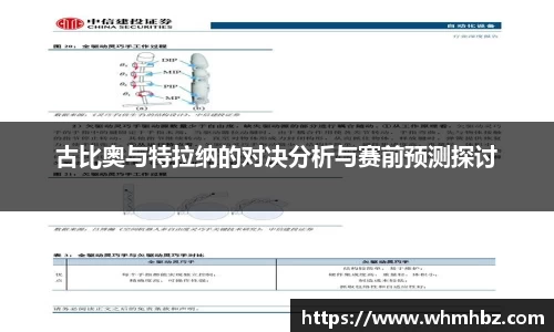 zoty中欧
