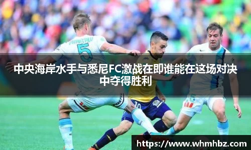 zoty中欧